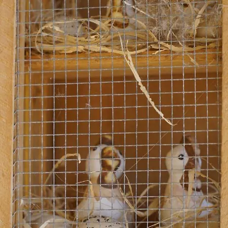 La Casa De Casa vacanze Praves