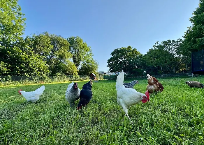 La Casa De Casa vacanze