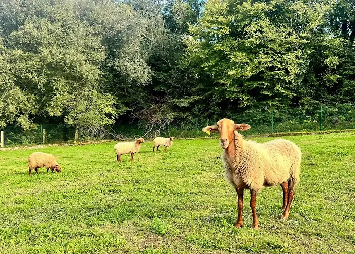 Casa vacanze La Casa De
