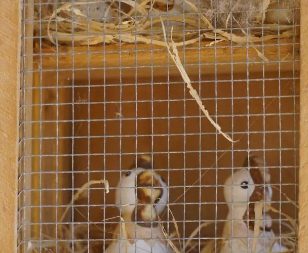 La Casa De Casa vacanze Praves