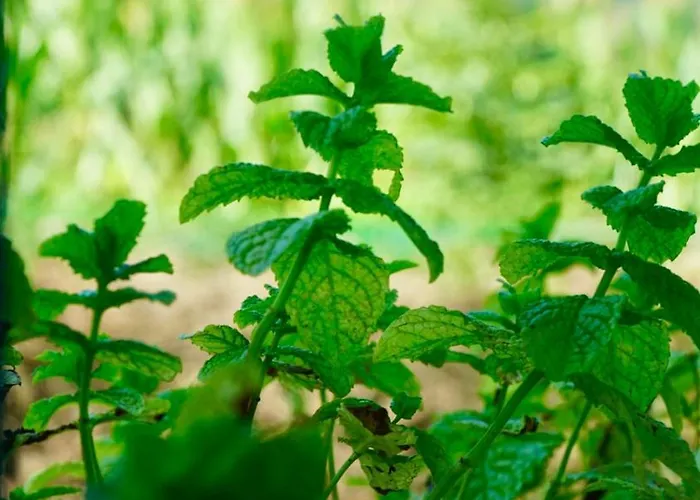 Casa vacanze La Casa De