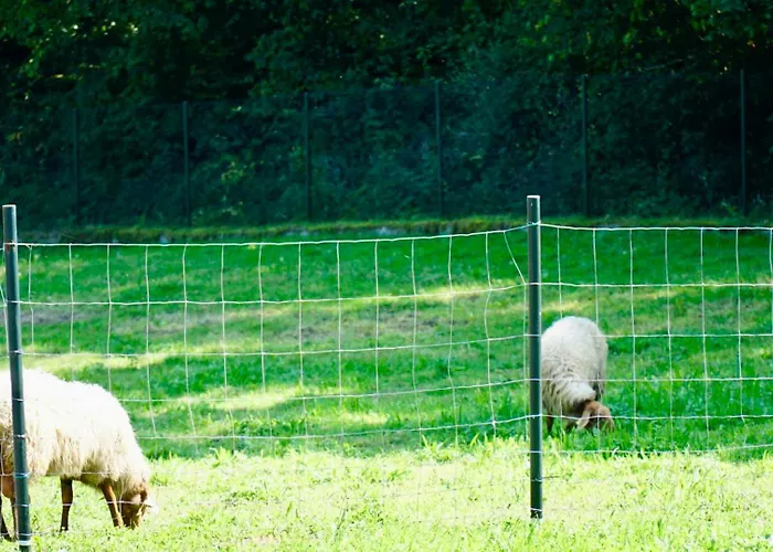 Casa vacanze La Casa De *